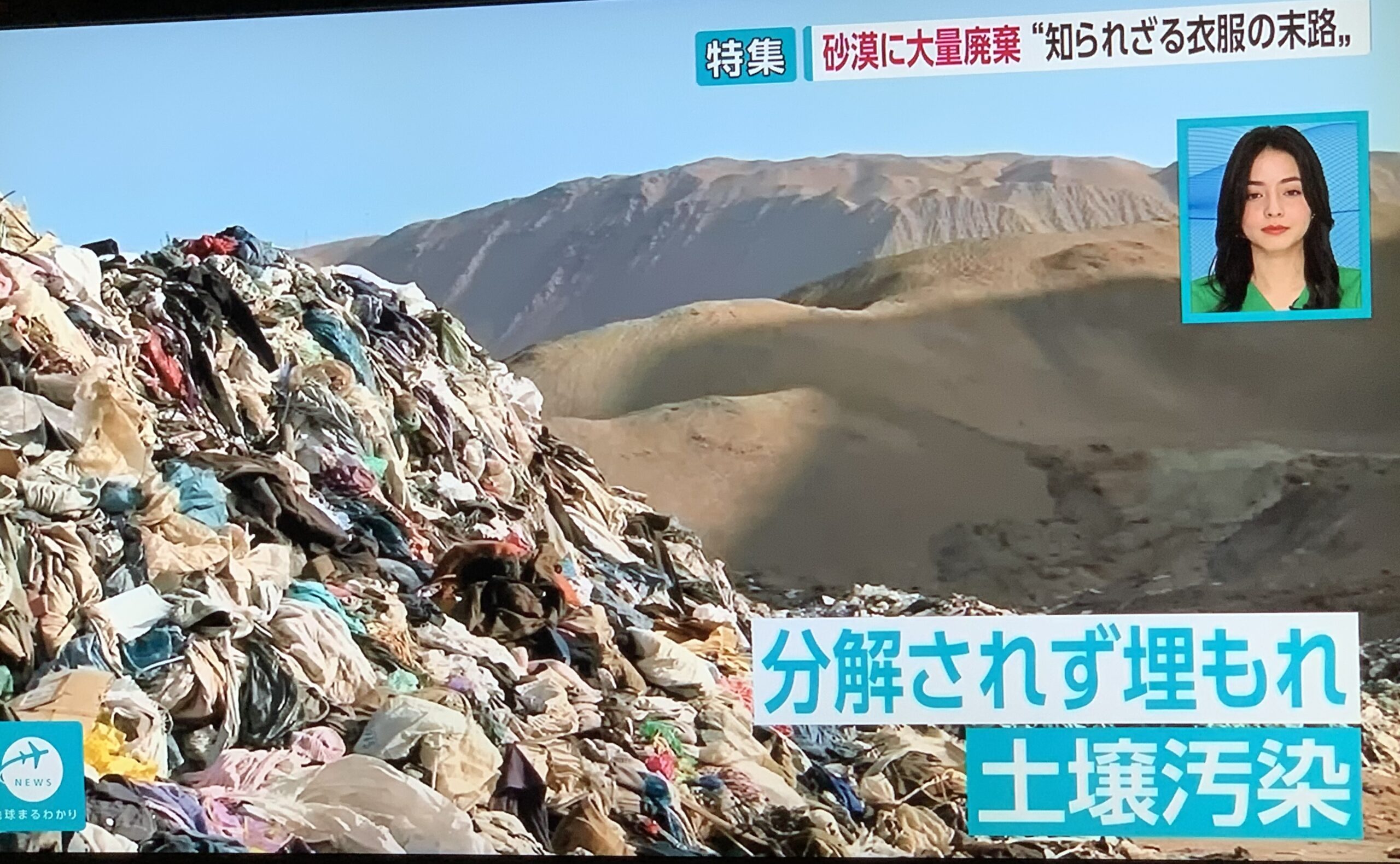 婦人服オーダーFillty